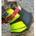 Pig Dog Rip Collar Basic with Large Extension
